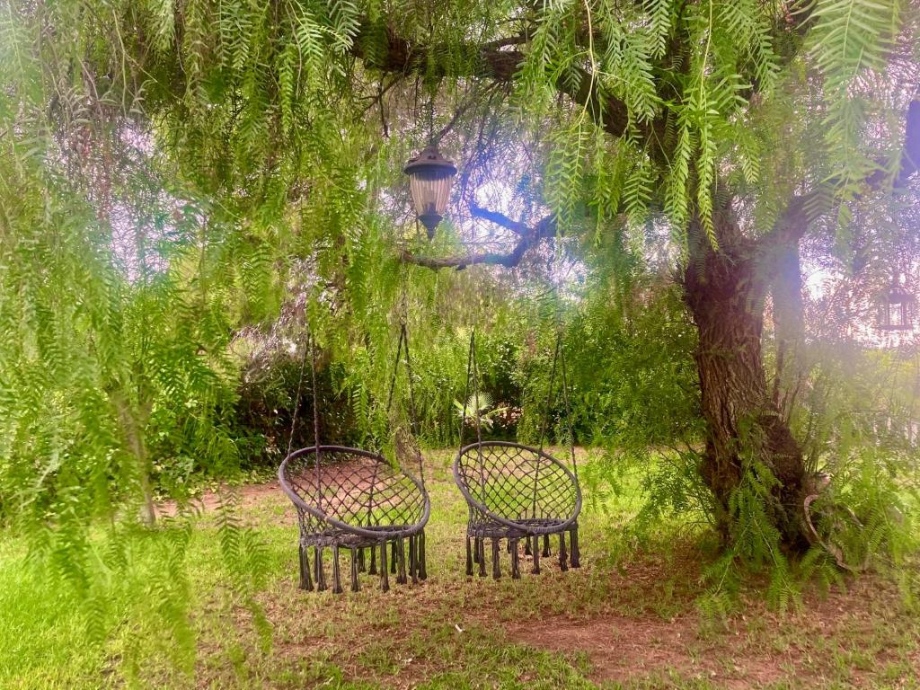 Zahrada ubytování Yurta Arco Iris