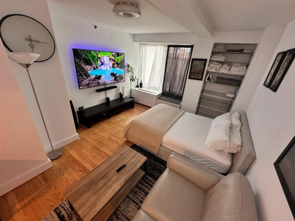 uma sala de estar com um sofá e uma televisão em Studio room em Nova York