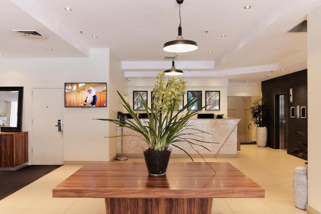 ein Wohnzimmer mit einem Tisch und einer Pflanze darauf in der Unterkunft Central Studio Hotel Sydney in Sydney