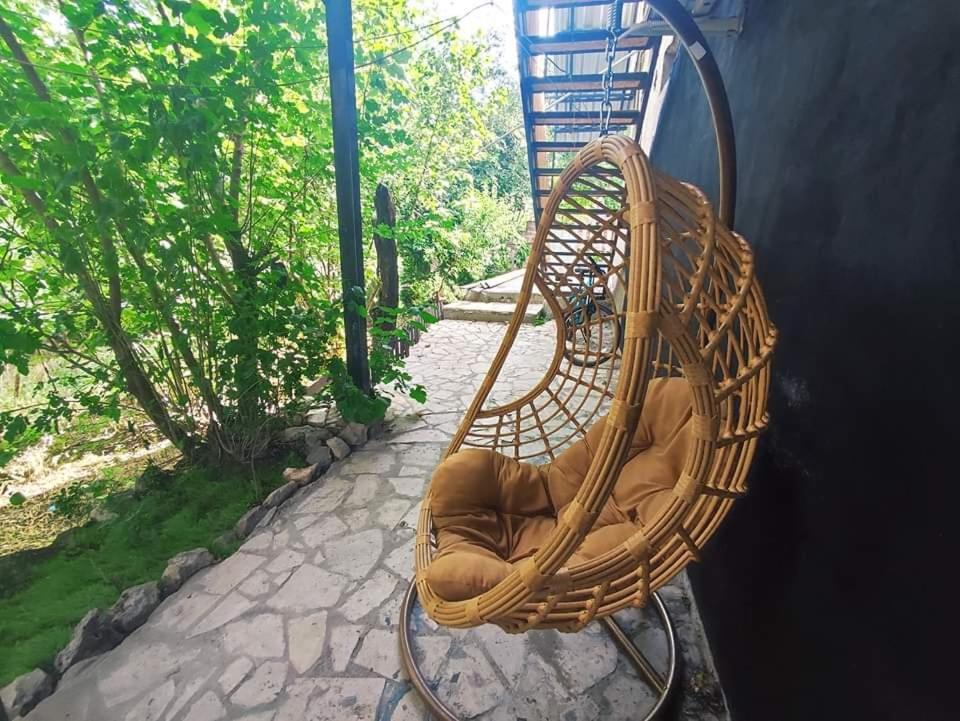 Zahrada ubytování Clara Studios