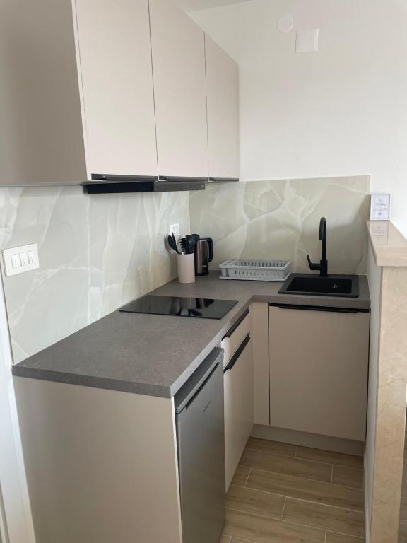 Kuchyň nebo kuchyňský kout v ubytování Apartmani Tomaš