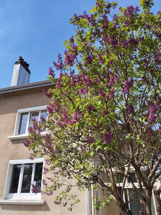 Photo de la galerie de l'établissement Authentique, vintage, harmonieux et wifi rapide, à Uriménil