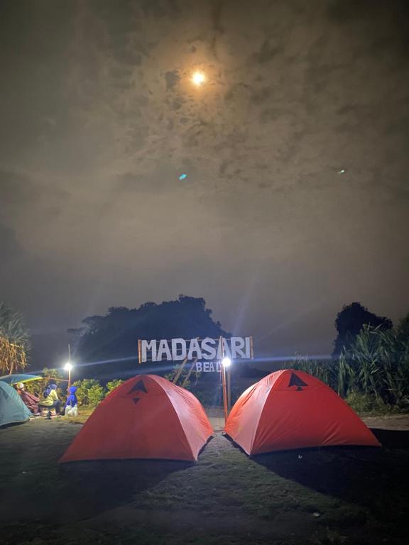 eine Gruppe von drei Regenschirmen auf einem Feld bei Nacht in der Unterkunft Sewa Tenda Pantai Madasari in Madasari