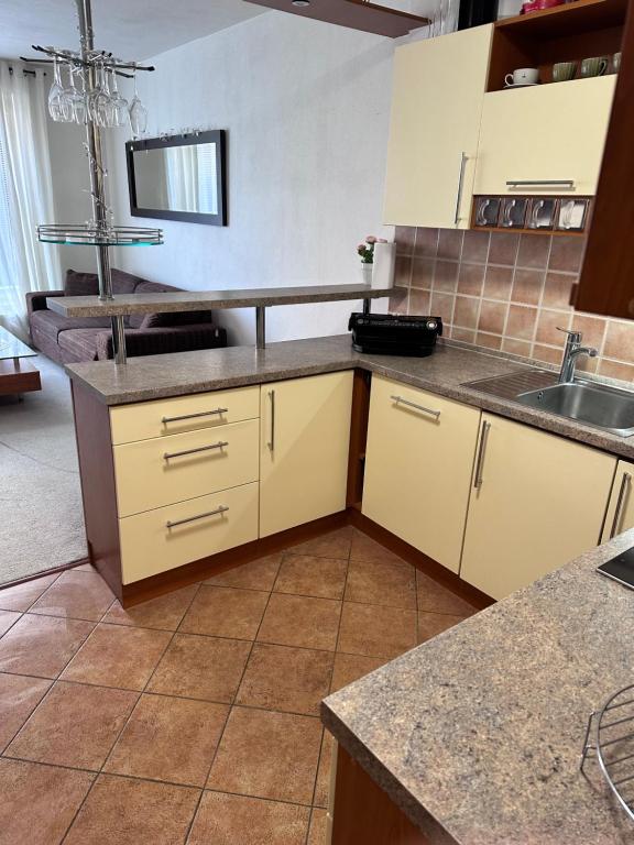 Kuchyň nebo kuchyňský kout v ubytování Old Town Apartments Zderadova 6