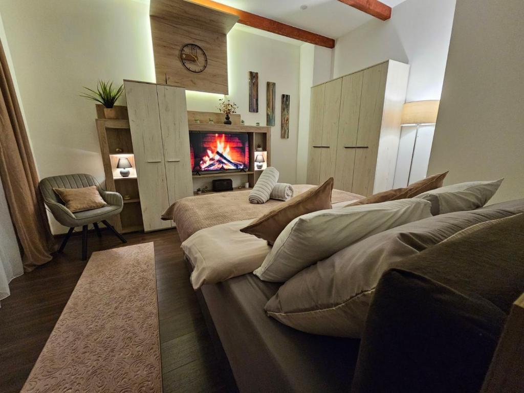 TV a/nebo společenská místnost v ubytování Apartman Mudrinić Apatin