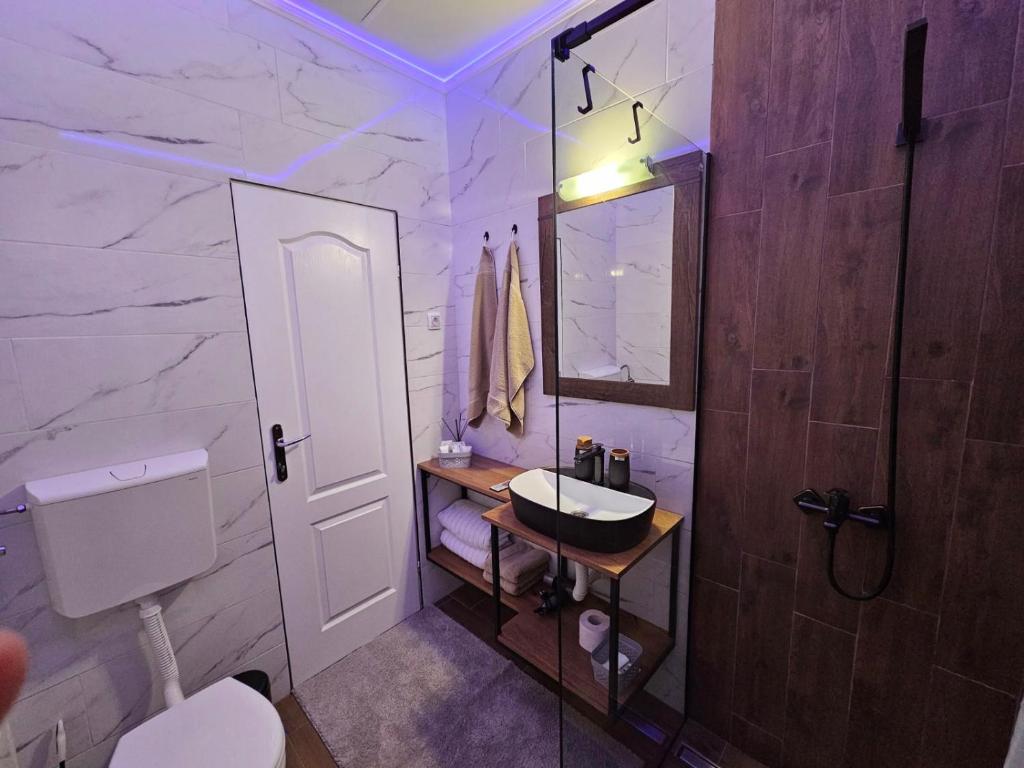 Koupelna v ubytování Apartman Mudrinić Apatin