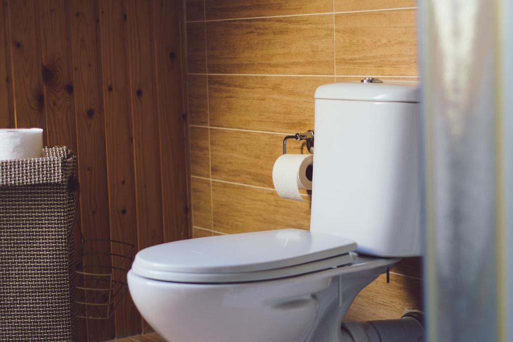 Koupelna v ubytování Vila Termal
