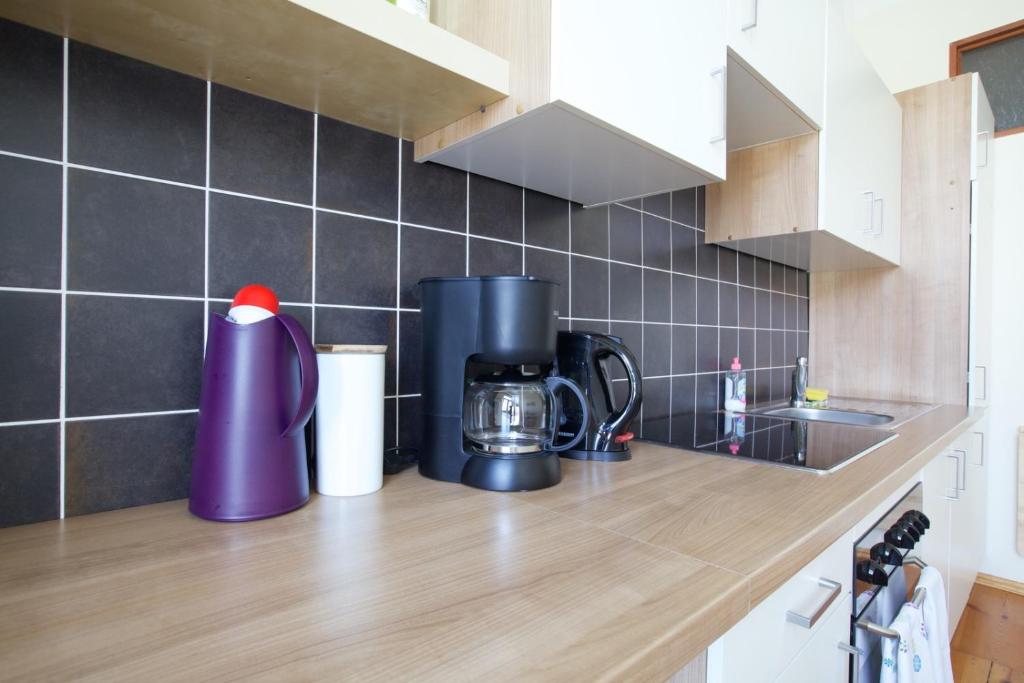 Zum Grünen Tor - ganzheitliche Pension - Appartement Met één Slaapkamer