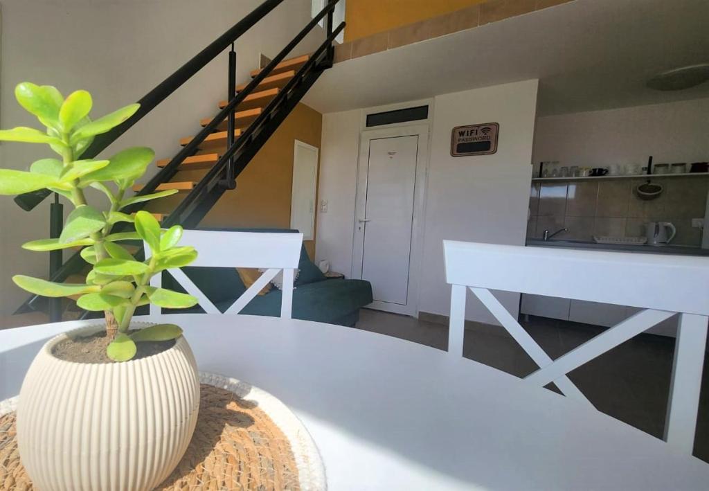 Fotografie z fotogalerie ubytování Chill zone houses Katun Reževići v destinaci Katun