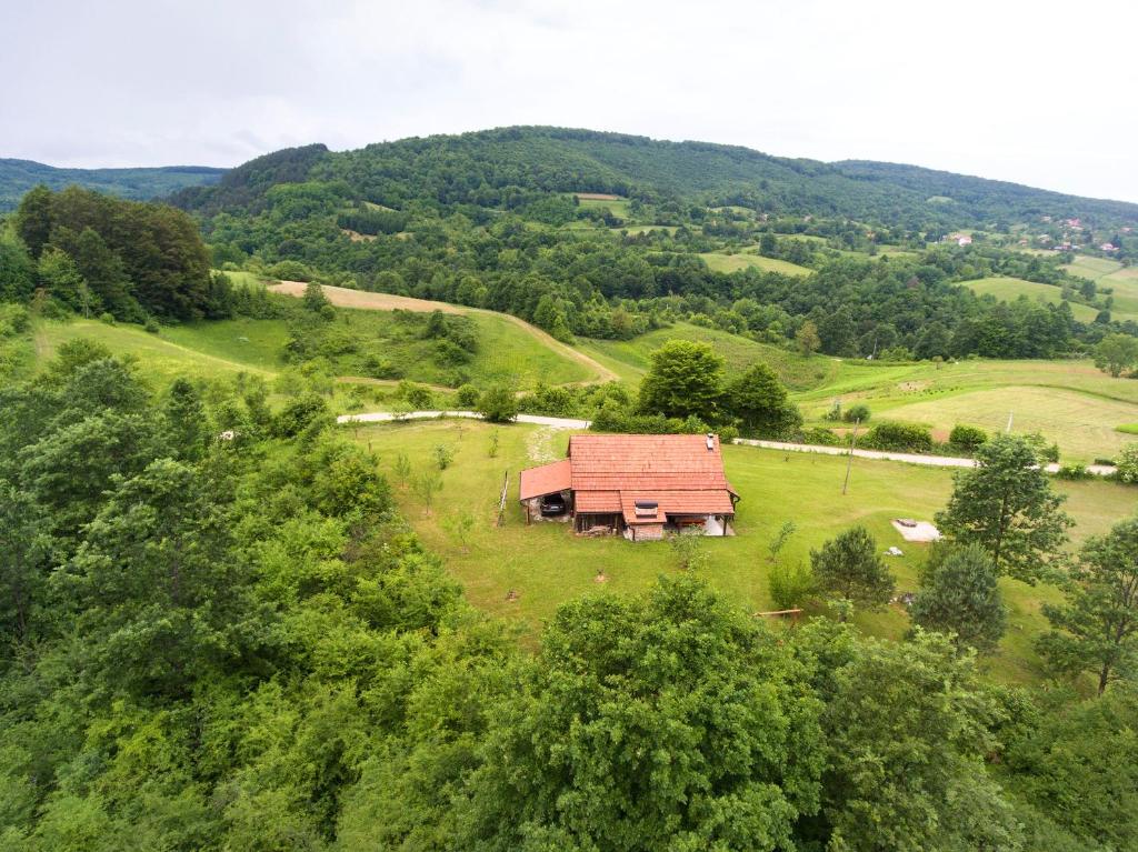 Príroda v okolí horskej chaty
