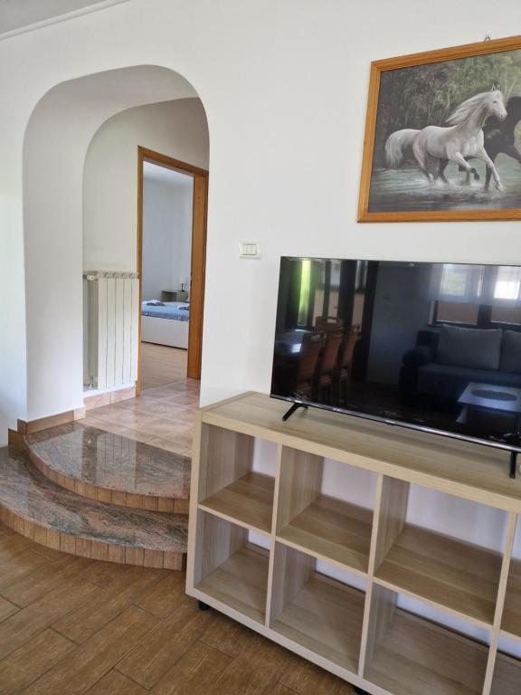 TV a/nebo společenská místnost v ubytování Apartma Mihatovi