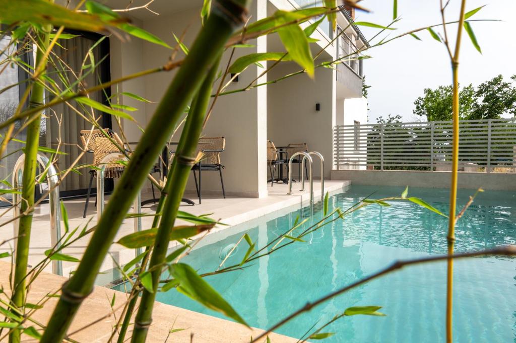 a swimming pool with plants in front of a house at Thera luxury living in Nikiti