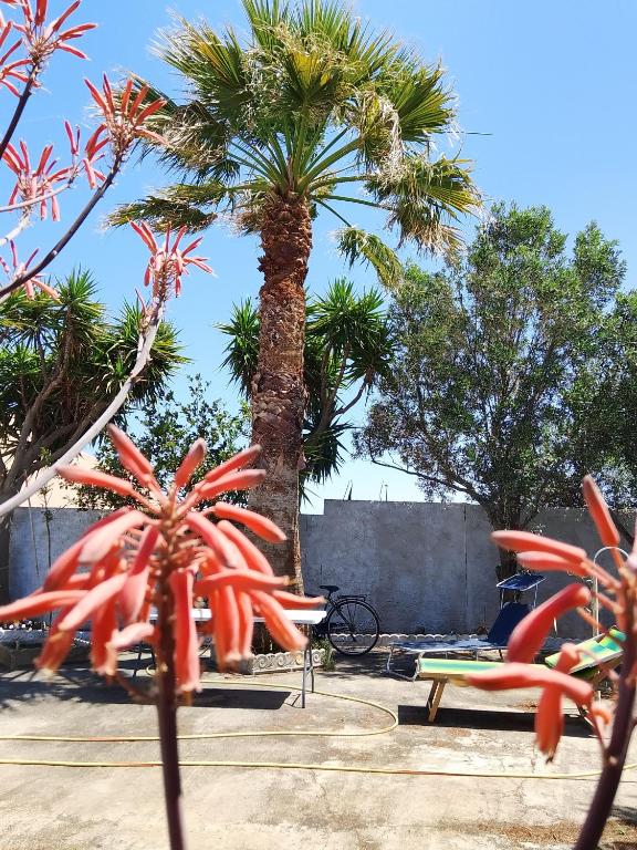 Casa Flavia a Porto Pino - Elegante Villa con Giardino