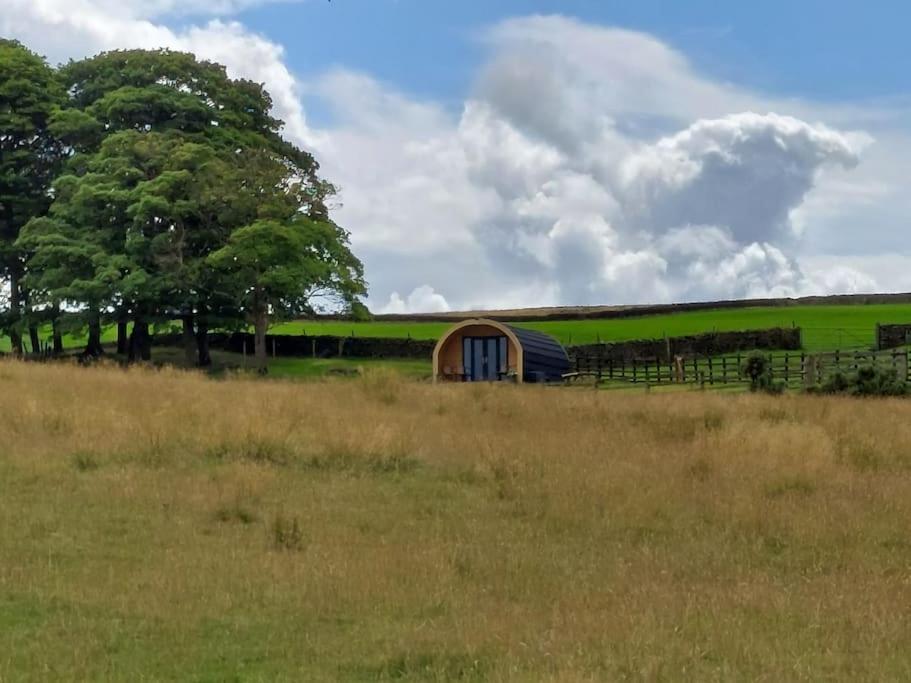 High Whashton Springs Glamping Pod, Richmond Yorks 5