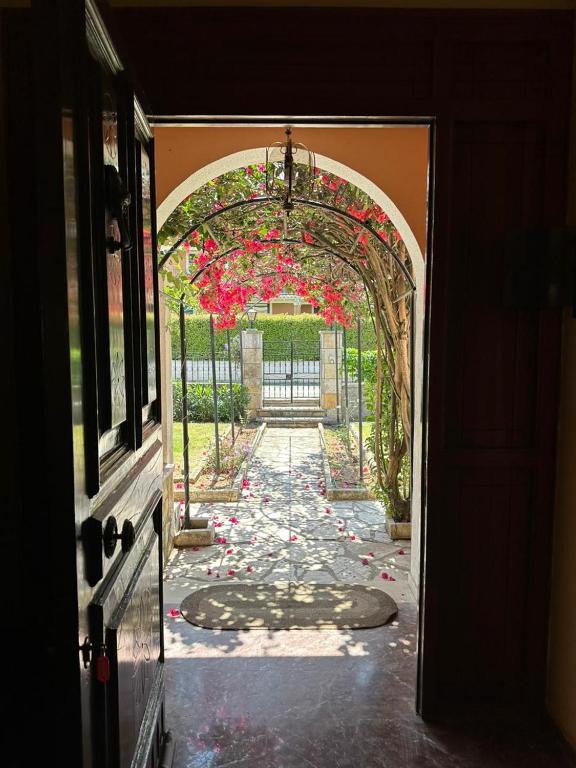 En have udenfor Bougainvillea House