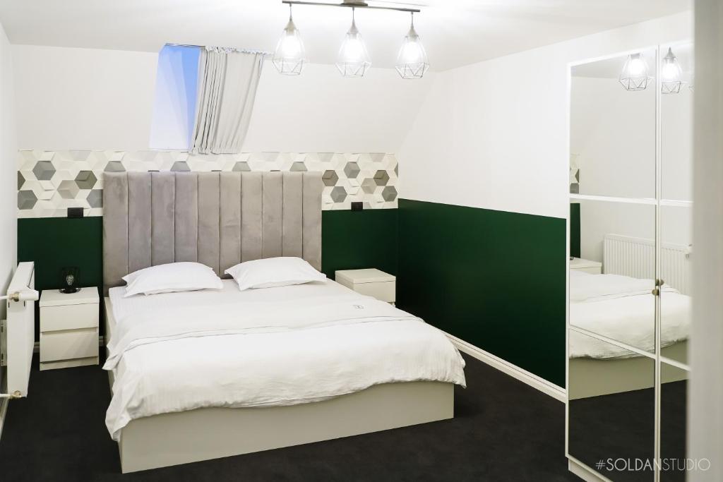 La Codrii Cajvanei - Double Room