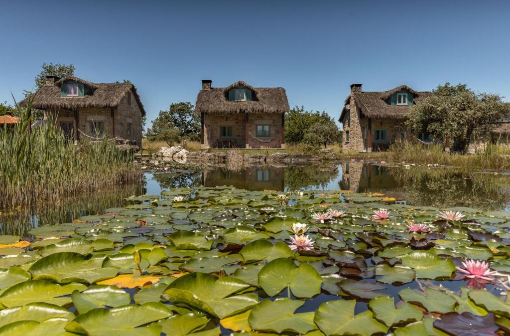 a pond with lilies in front of houses at Chão do Rio - Turismo de Aldeia in Seia