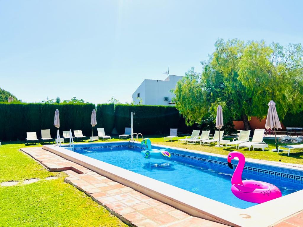 ein Pool mit zwei rosa Flamingos darin in der Unterkunft VILLA SOL Y LUNA Mediterránea in Alhaurín de la Torre