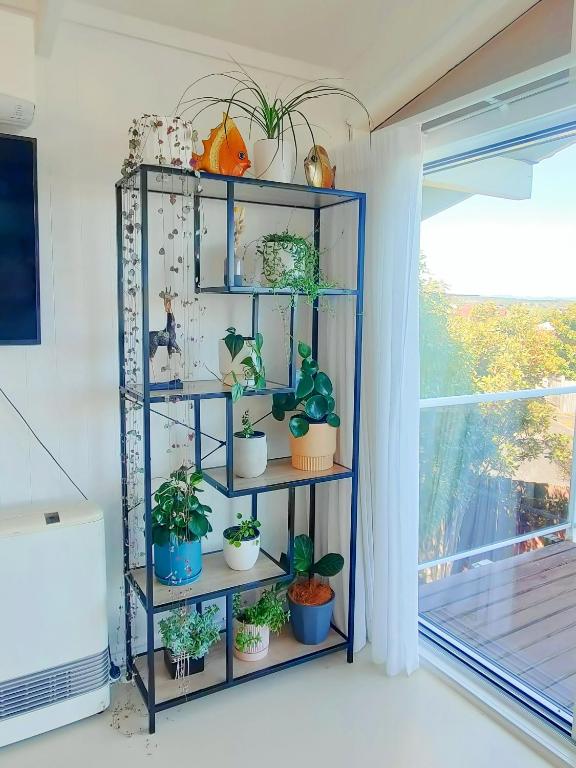 Delight in Birch-Lake View Holiday Home - Resim 12