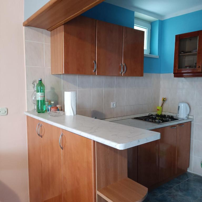 Kuchyň nebo kuchyňský kout v ubytování Apartmani Ćuk