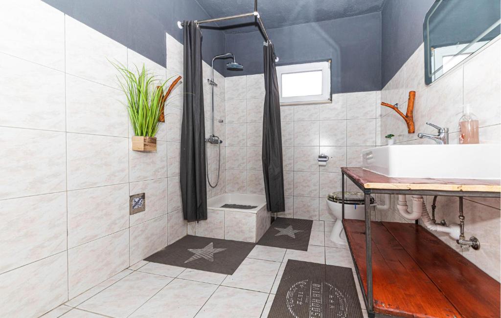 Kúpeľňa v ubytovaní Pet Friendly Home In Kastel Kambelovac