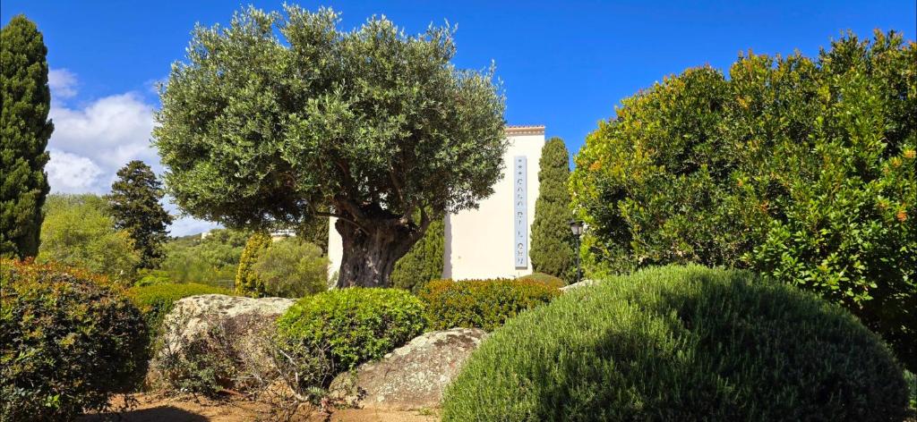 Zahrada ubytování Hotel Cala di l'Oru