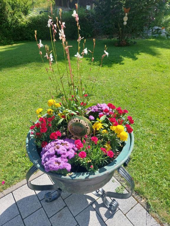 Zahrada ubytování Biobauernhof Habersatter