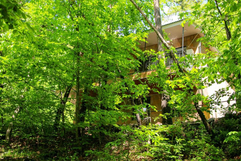 Zahrada ubytování Opus 11 Dilijan