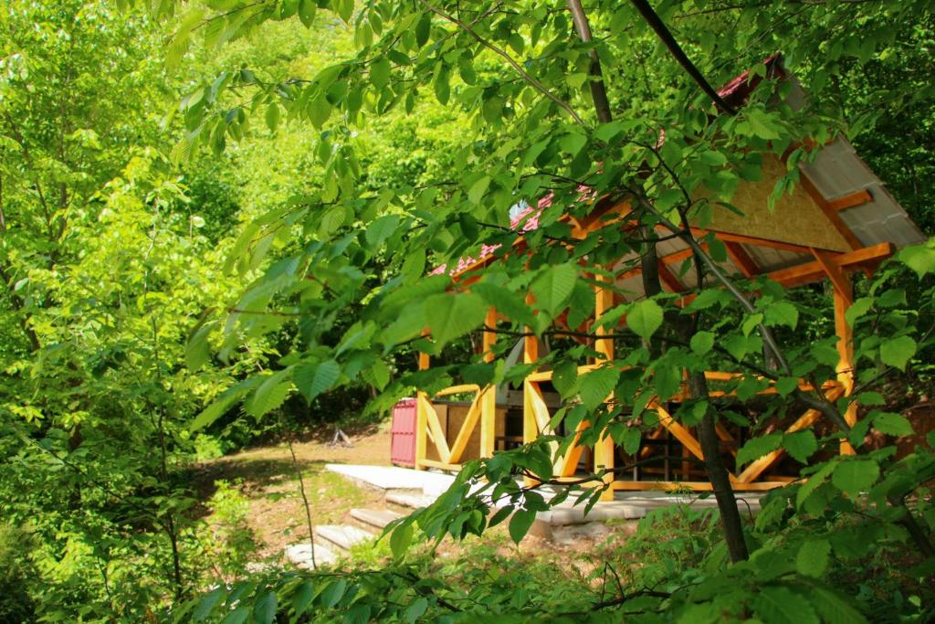 Zahrada ubytování Opus 11 Dilijan