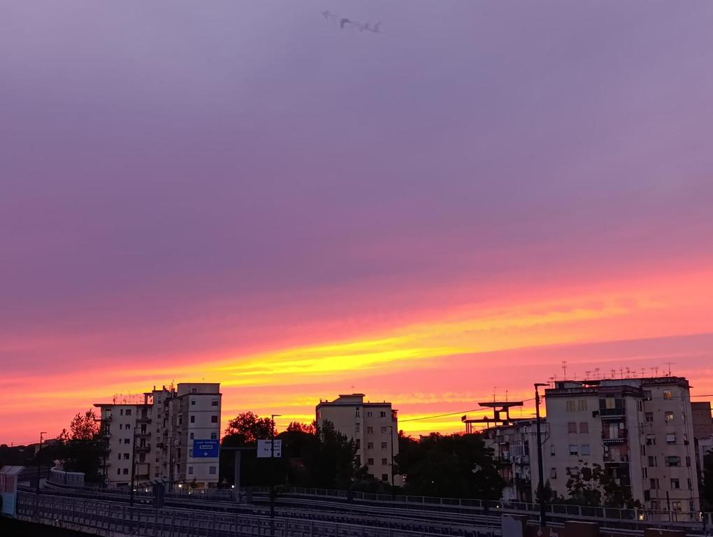 B&B Airport Serenity suites - 14