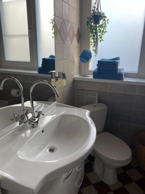 Koupelna v ubytování B&B Zonnedael