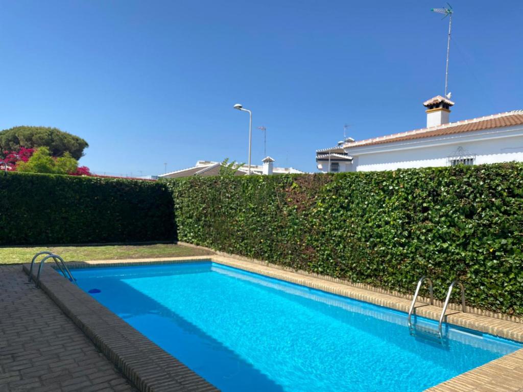 a swimming pool in front of a hedge at Hispalis villa en Matalascañas in Matalascañas