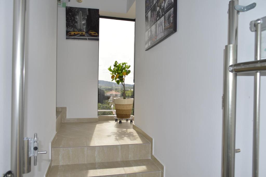 Fotografie z fotogalerie ubytování Albatros Comfort like home v destinaci Černomorec