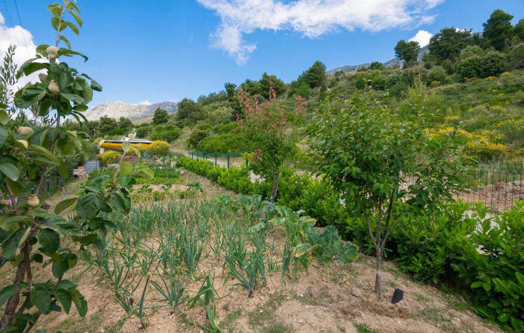 Vonkajšia záhrada v ubytovaní Holiday Home Zagorski Put I