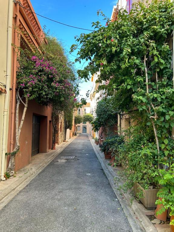 une rue vide dans une ruelle avec des fleurs dans l'établissement A Très Joli Appartement, à Argelès-sur-Mer