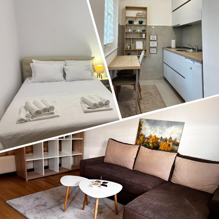 a small apartment with a bed and a living room at River Apartment in Banja Luka
