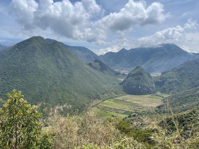 un point de vue pédagogique dans l'établissement Dogsland Pululahua - Bienvenidos - Ferienwohnungen, à Quito
