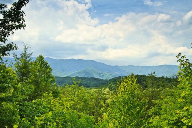 a view of a forest with mountains in the distance at Cozy Bear Hideaway By Stony Brook Cabins in Cosby