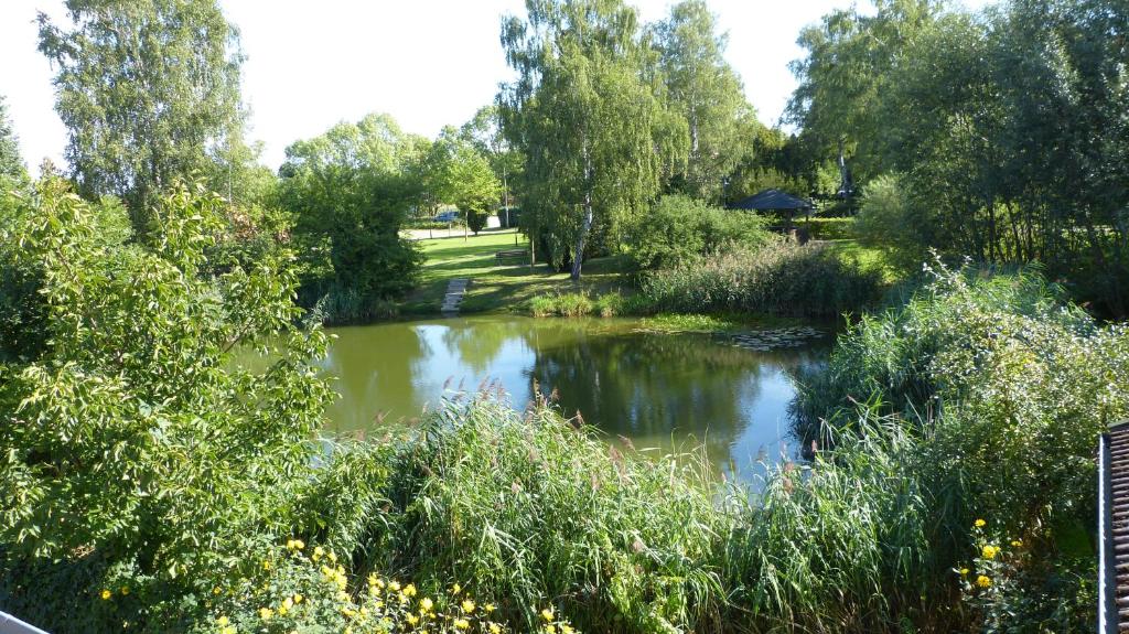 a pond in a park with trees and grass at FeWo Dreiseitenblick in Bad Doberan