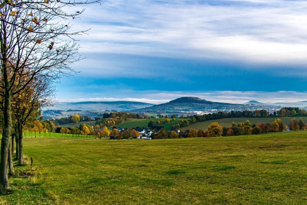 a green field with a tree in the foreground at Zur alten Schnitzerei in Grünhainichen