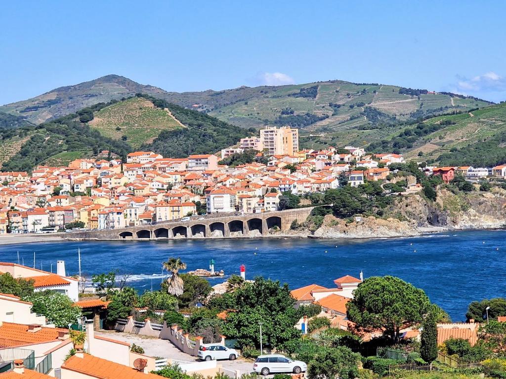 - une vue sur une ville avec un pont sur une rivière dans l'établissement BANYULS-SUR-MER, T2 avec WIFI et parking - FR-1-309-30, à Banyuls-sur-Mer