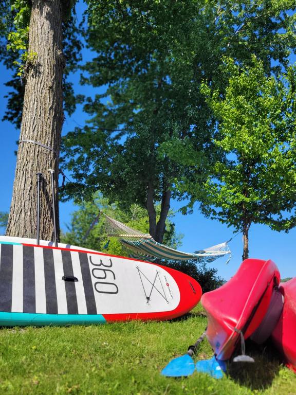 a group of surfboards on the grass next to a tree at Spot Caché - Waterfront - Water sports included! in Papineauville