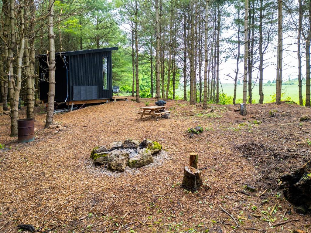 Zahrada ubytování Little Cabin in the Pines