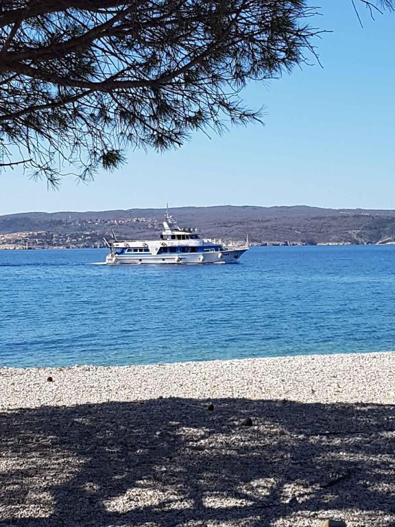 Fotografia z galérie ubytovania Apartments in Crikvenica 41855 v destinácii Crikvenica