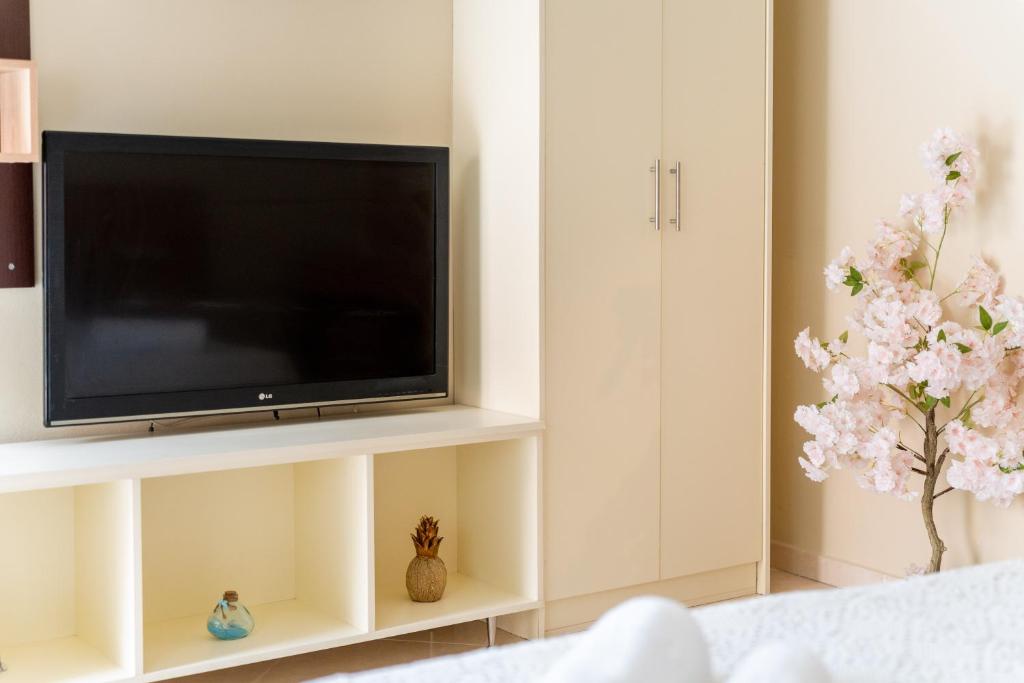 Telewizja i/lub zestaw kina domowego w obiekcie Romeo apartament 2