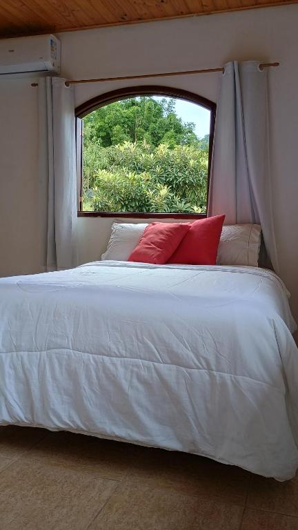 1 dormitorio con 1 cama blanca y ventana en Pousada Casa da montanha en Casimiro de Abreu