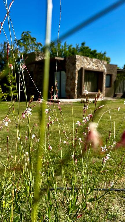 Zahrada ubytování Tiny House Chacras