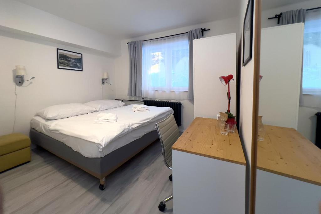 Hotel Horní Pramen - Chambre Double Standard