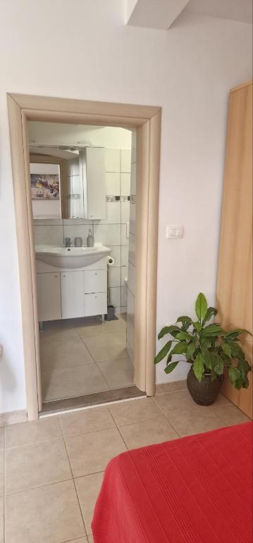 Kuchyň nebo kuchyňský kout v ubytování Apartments & Rooms Nada
