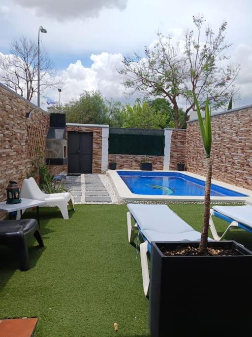 a backyard with a swimming pool and a palm tree at Casa Adosada in Bormujos